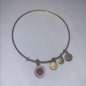 June birthstone bangle alex and ani